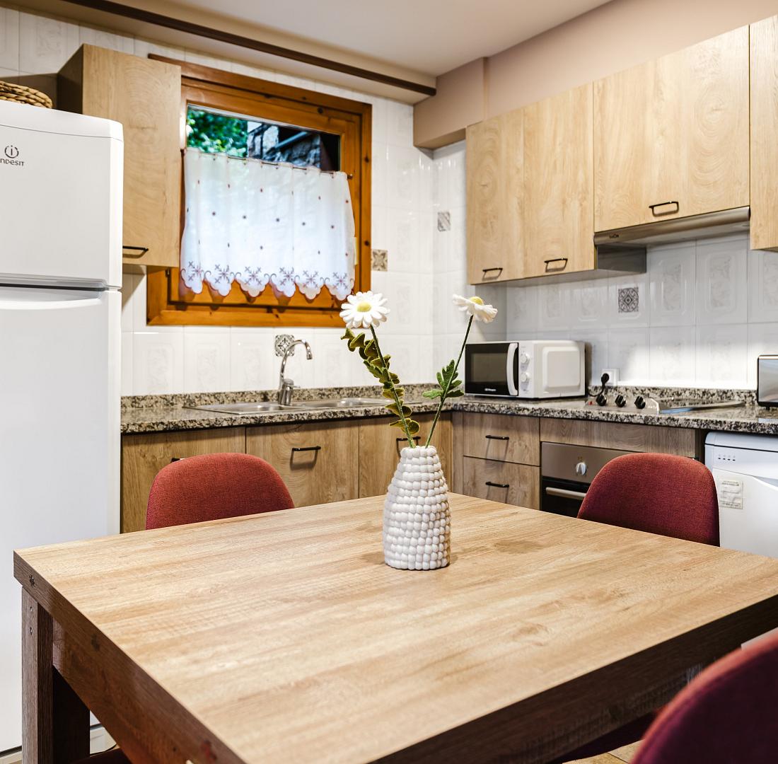 Apartament muntanya familiar