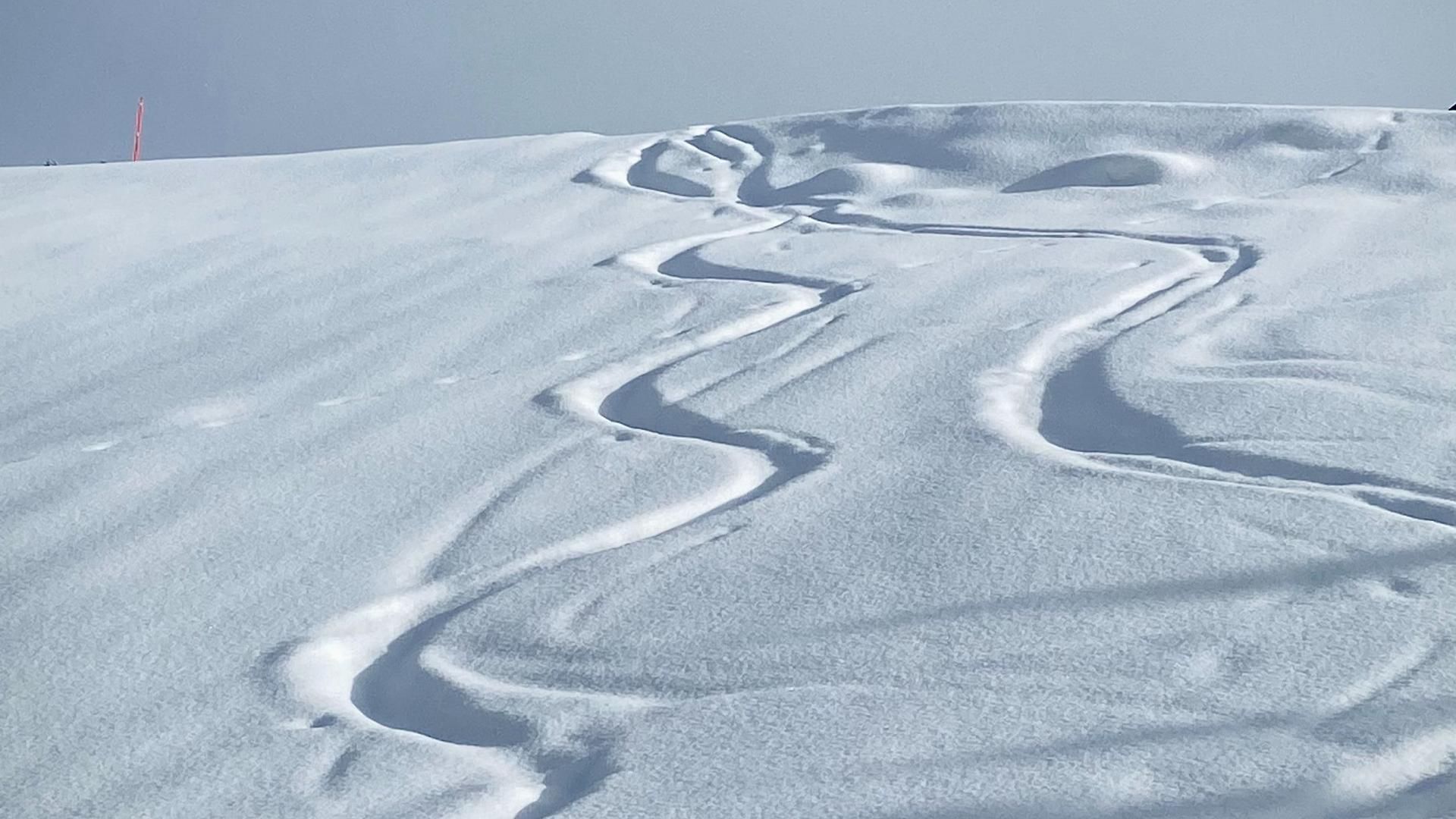 Descubre la estación de esquí más salvaje de Andorra, a tan solo 10 minutos de Apartaments La Neu