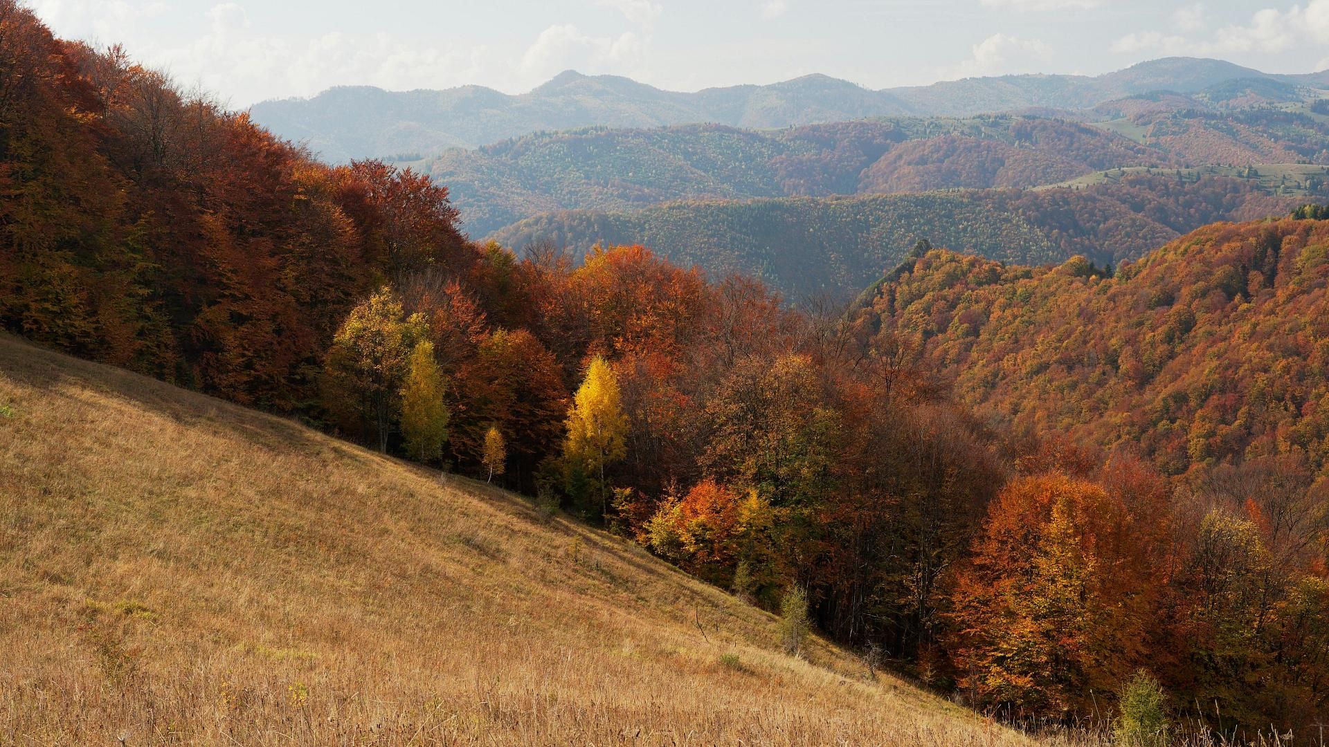 Experience the most beautiful colours of autumn