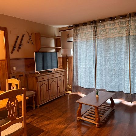 Rustic deluxe apartment