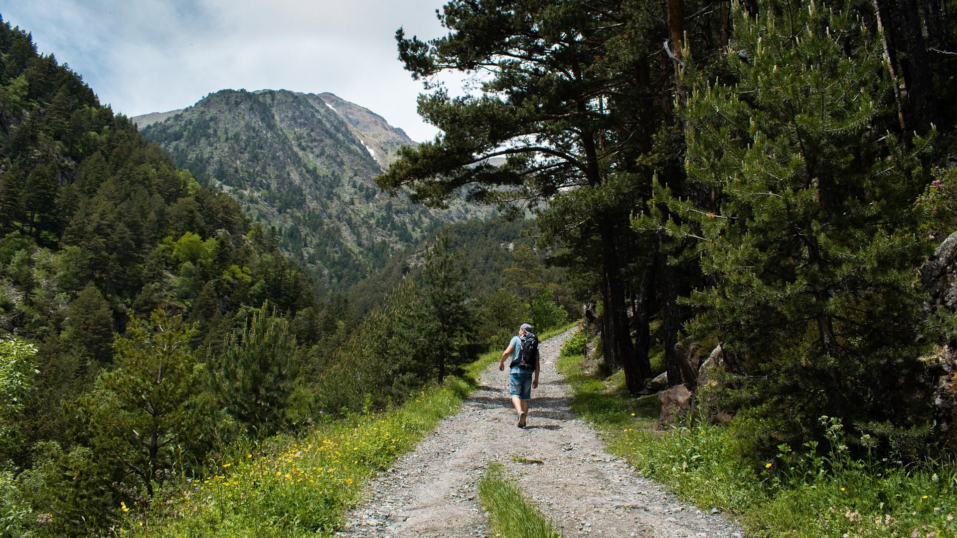 Landscapes that invite you to get lost