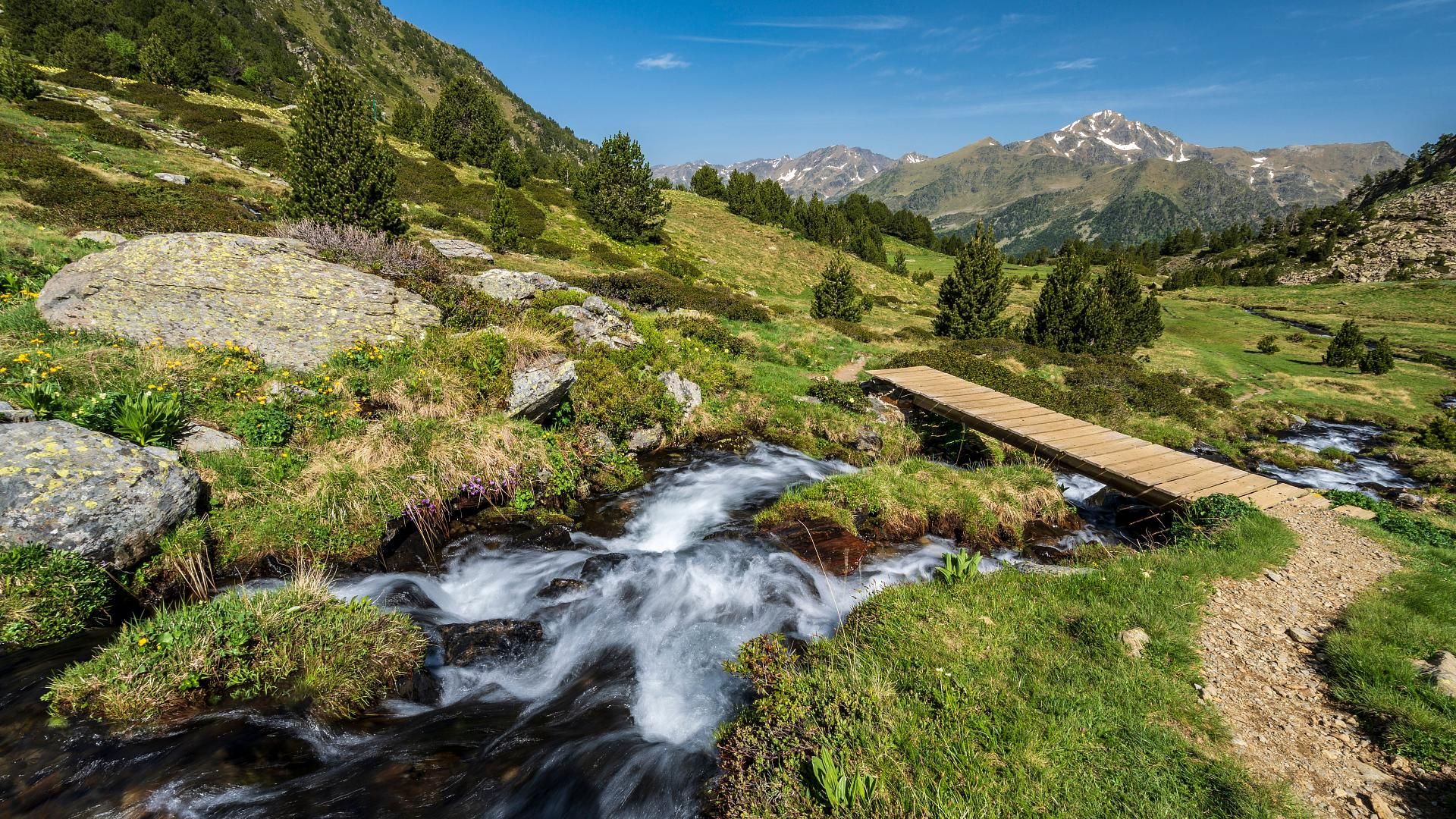 La nature protégée dans son état le plus pur