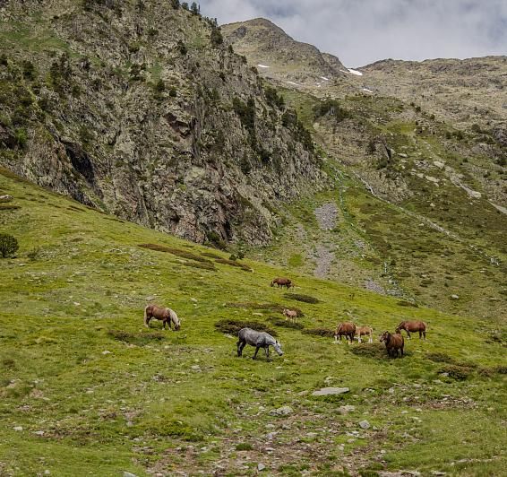 Parc Naturel des Vallées du Comapedrosa