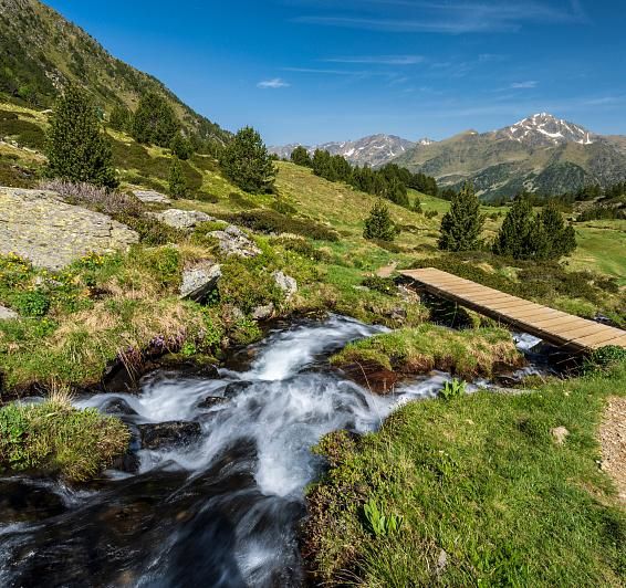 Protected nature in its purest state